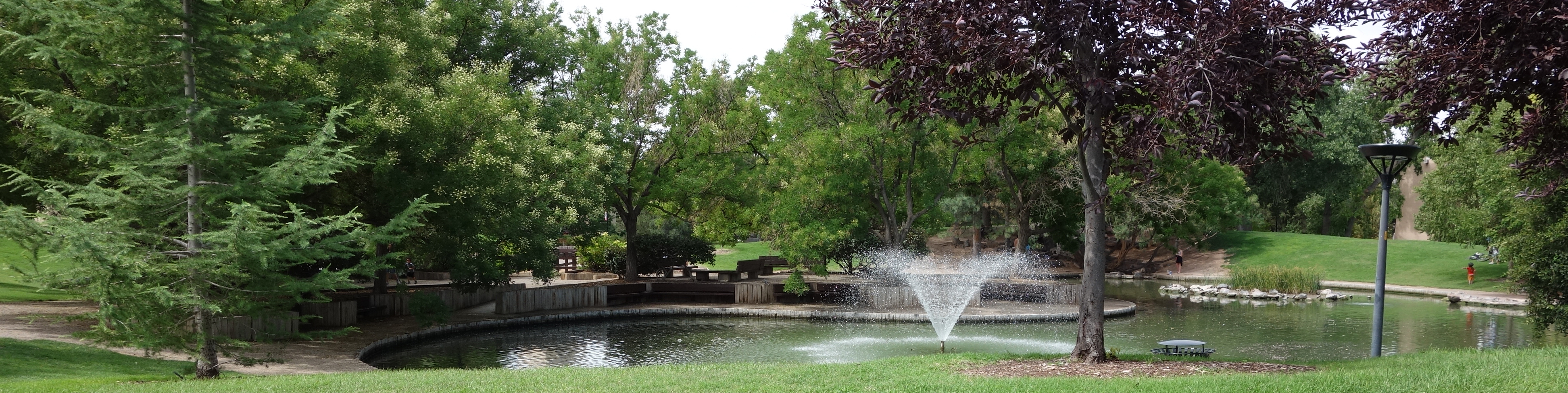 UNM Duckpond